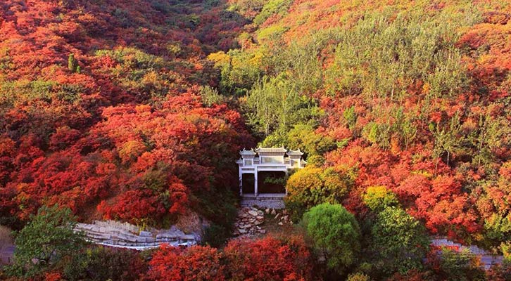 【濟南門票】紅葉谷門票(泉的源頭,雲的故鄉,花的世界,林的海洋)