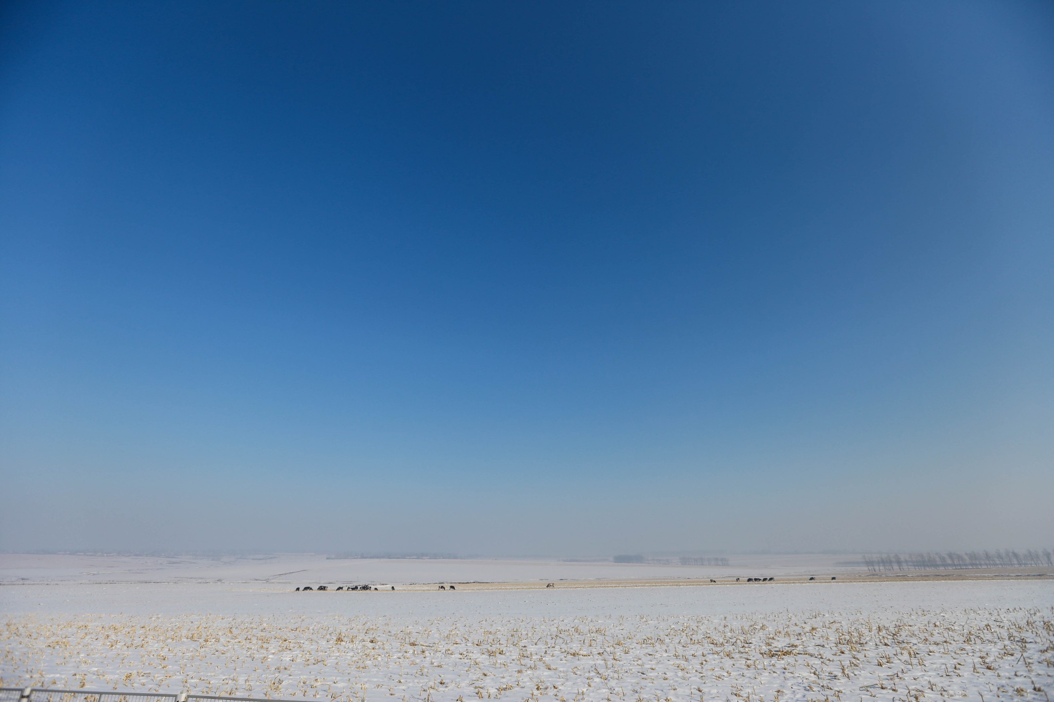 wKgBs1hVZByAAlH8AAUMrgY9q4w99.jpeg?imageView2%2F2%2Fw%2F680%2Fq%2F90%7CimageMogr2%2Fstrip%2Fquality%2F90