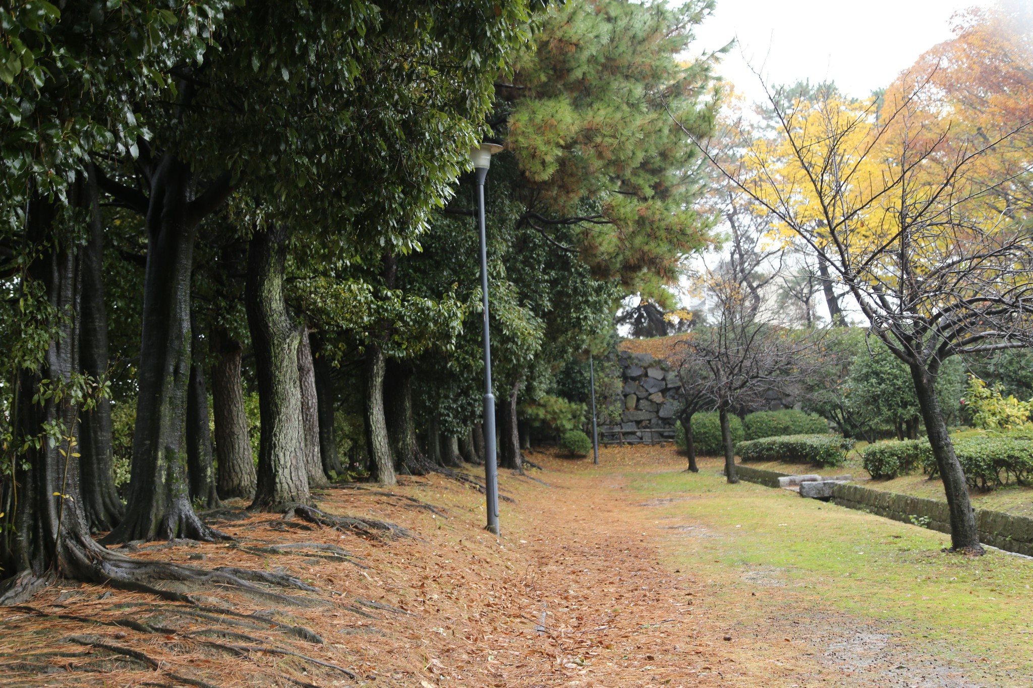 名古屋自助遊攻略