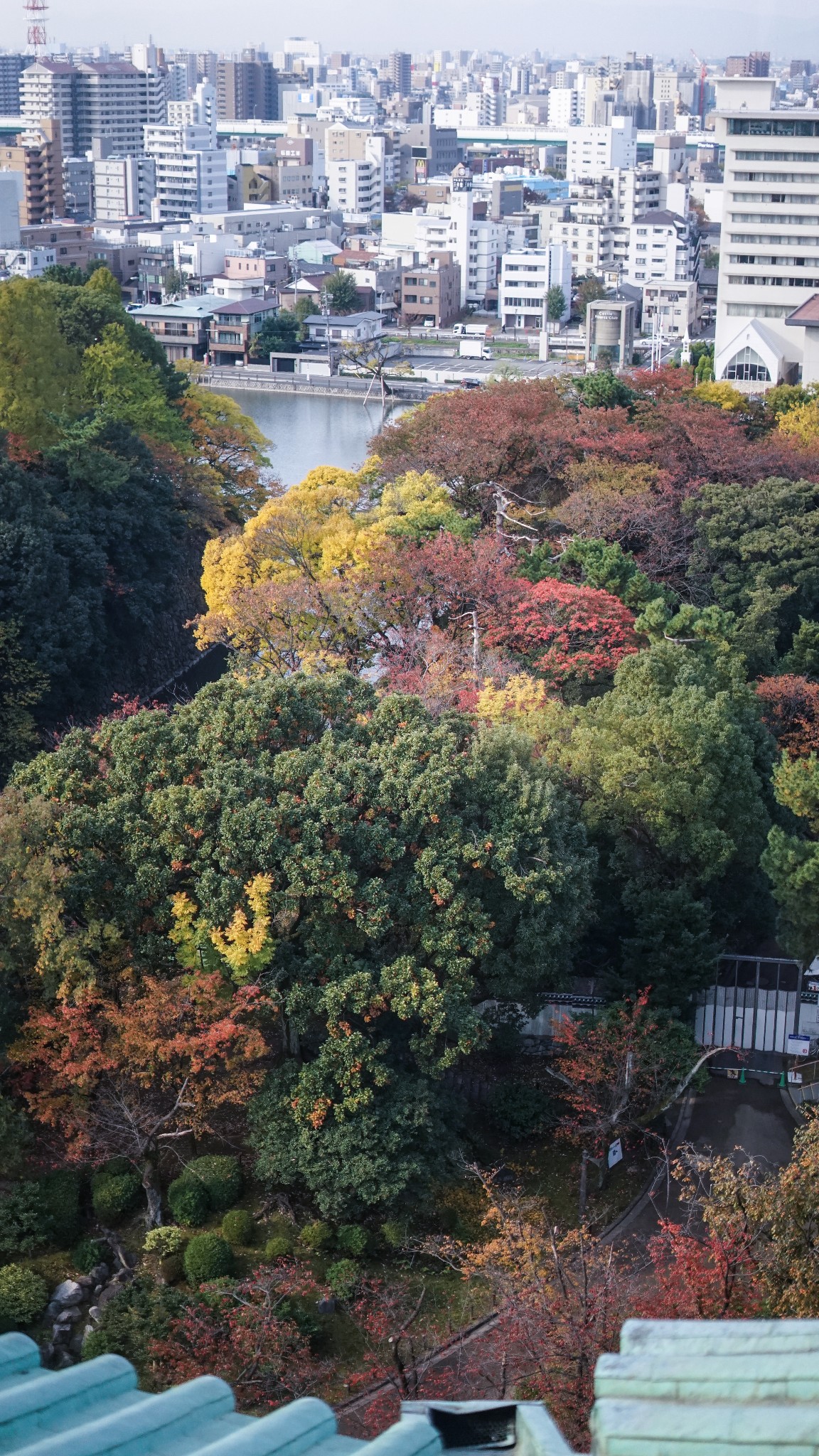 京都自助遊攻略