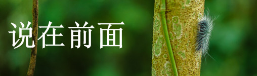 说在前面 说在前面