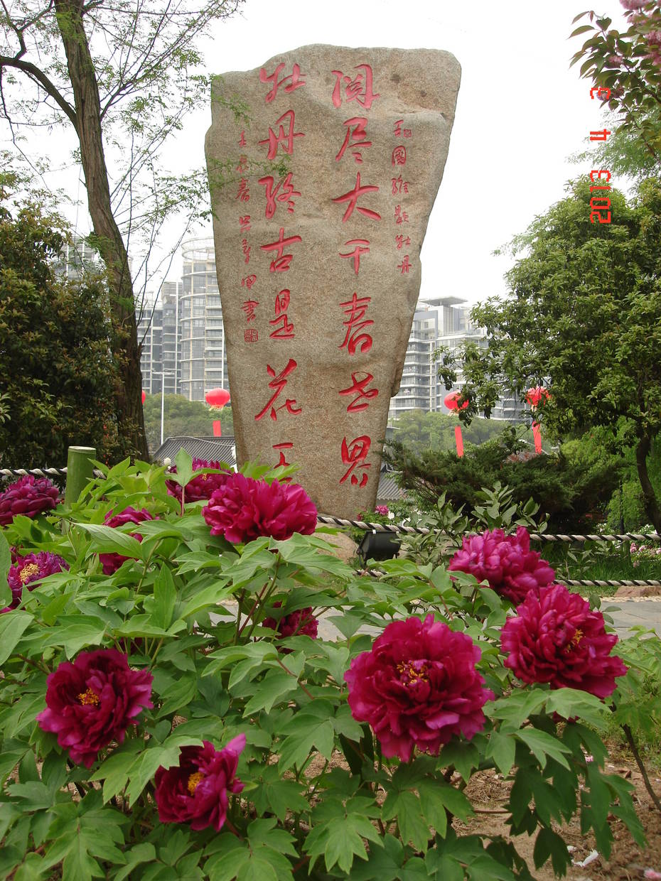 武汉东湖牡丹园门票,马蜂窝自由行 - 马蜂窝自由行