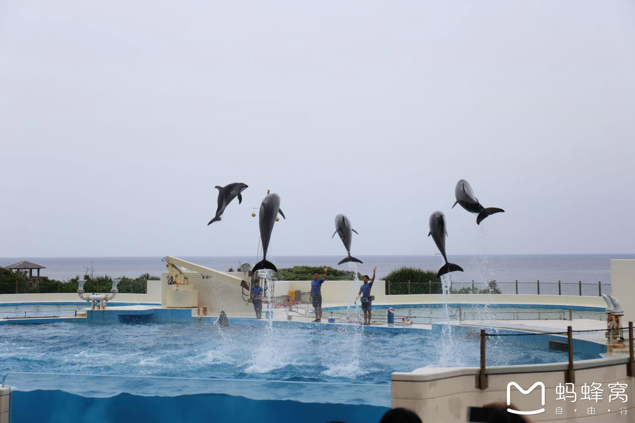 水族有多少人口_三月三 感受浓浓广西民族风 一