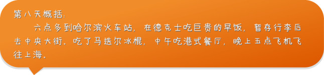 第八天 简要 第八天 简要