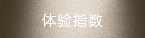 综合体验指数 综合体验指数
