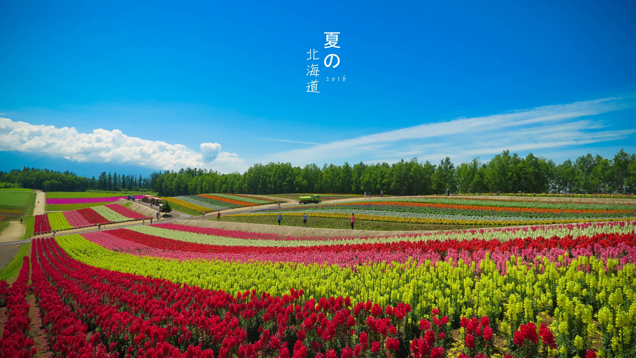 北海道自助遊攻略