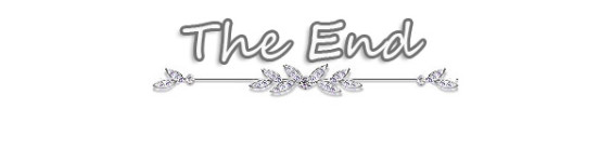 The End The End
