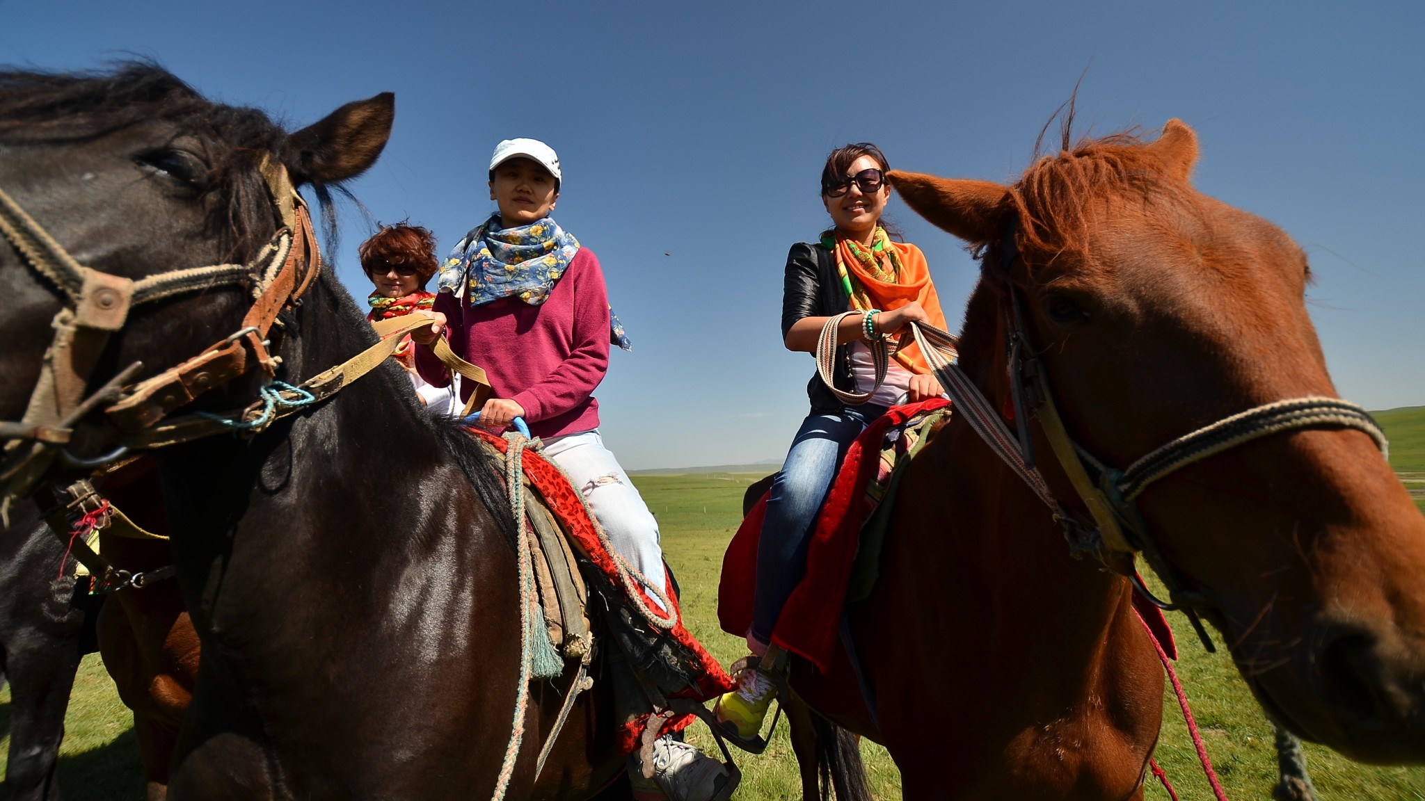 GanSu ZhangYe ShanDan Military Horse Farm