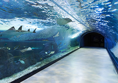 济州岛aqua planet水族馆水上星球一日通票(极速出票 手机出示)