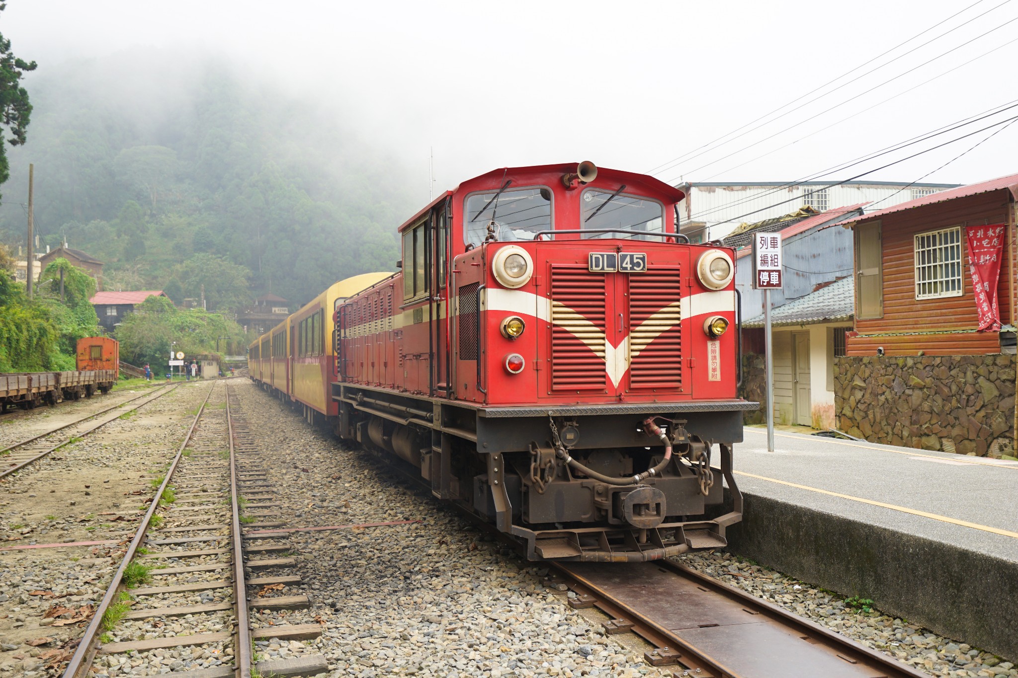 阿裡山自助遊攻略