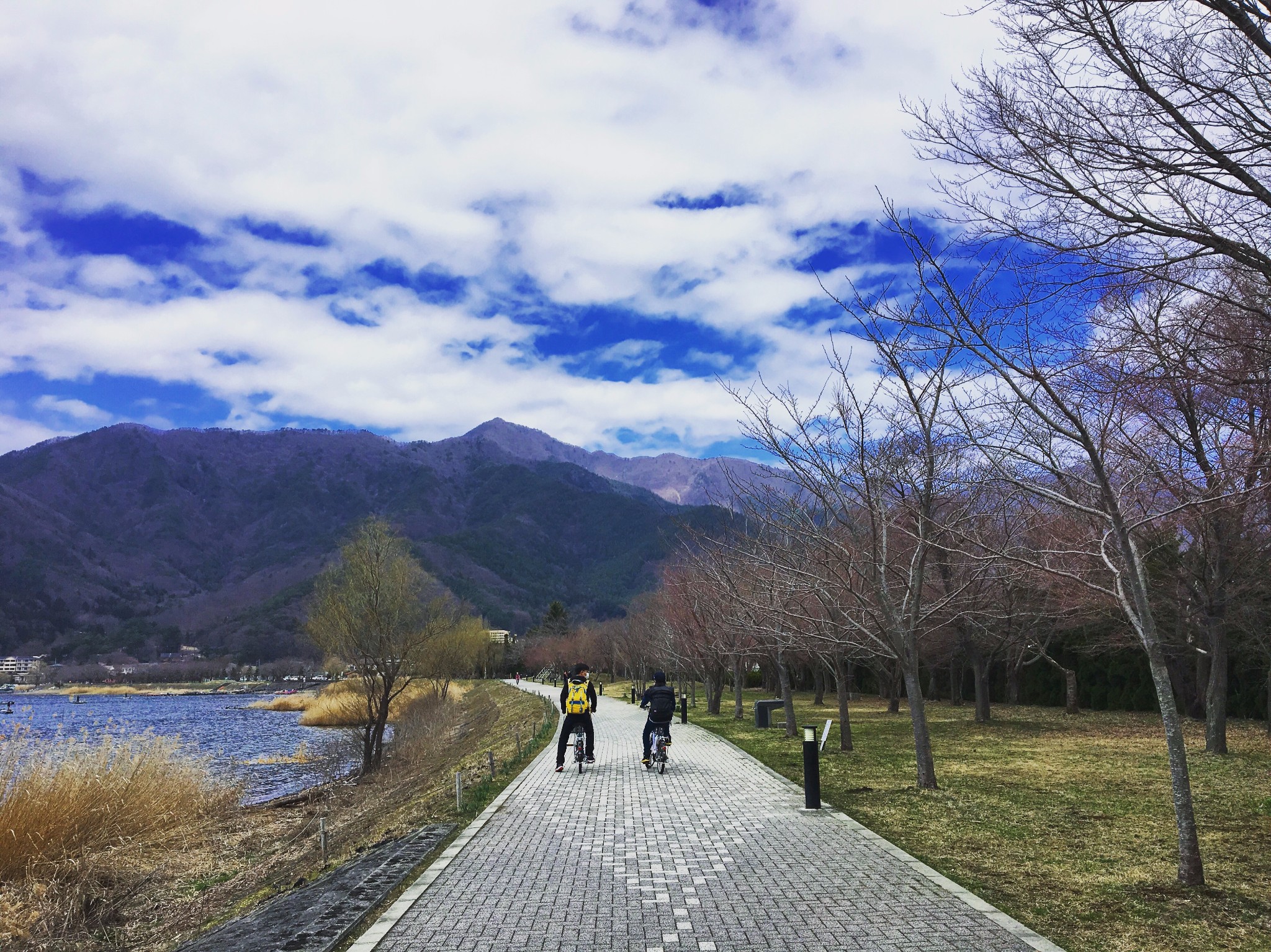 東京自助遊攻略