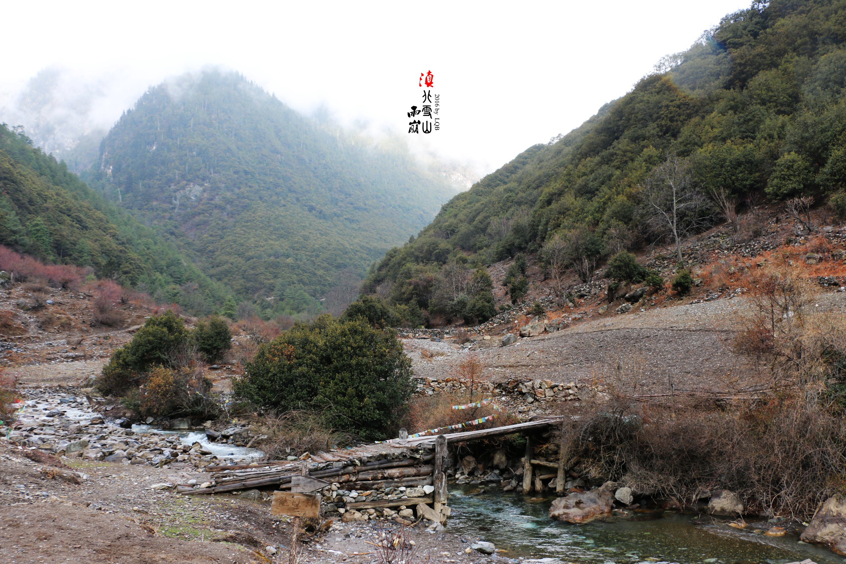 雨崩自助遊攻略