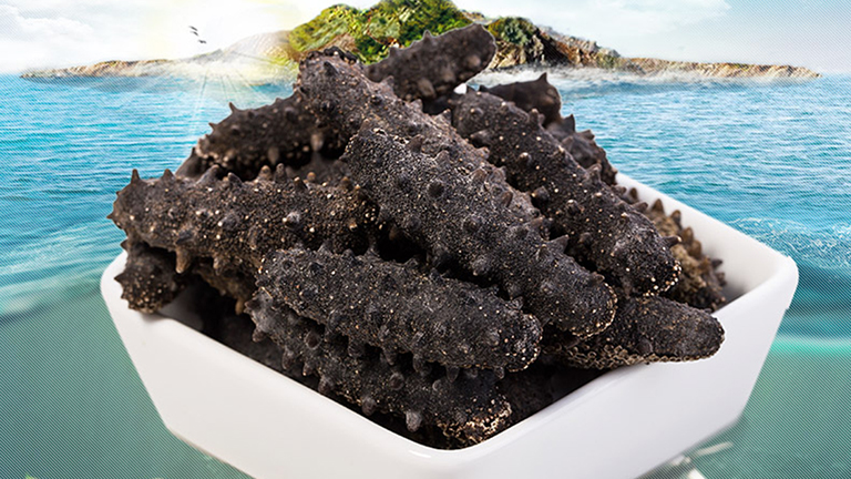 【獐子岛】 大连特色海产 淡干海参—参藏 48g (包邮)