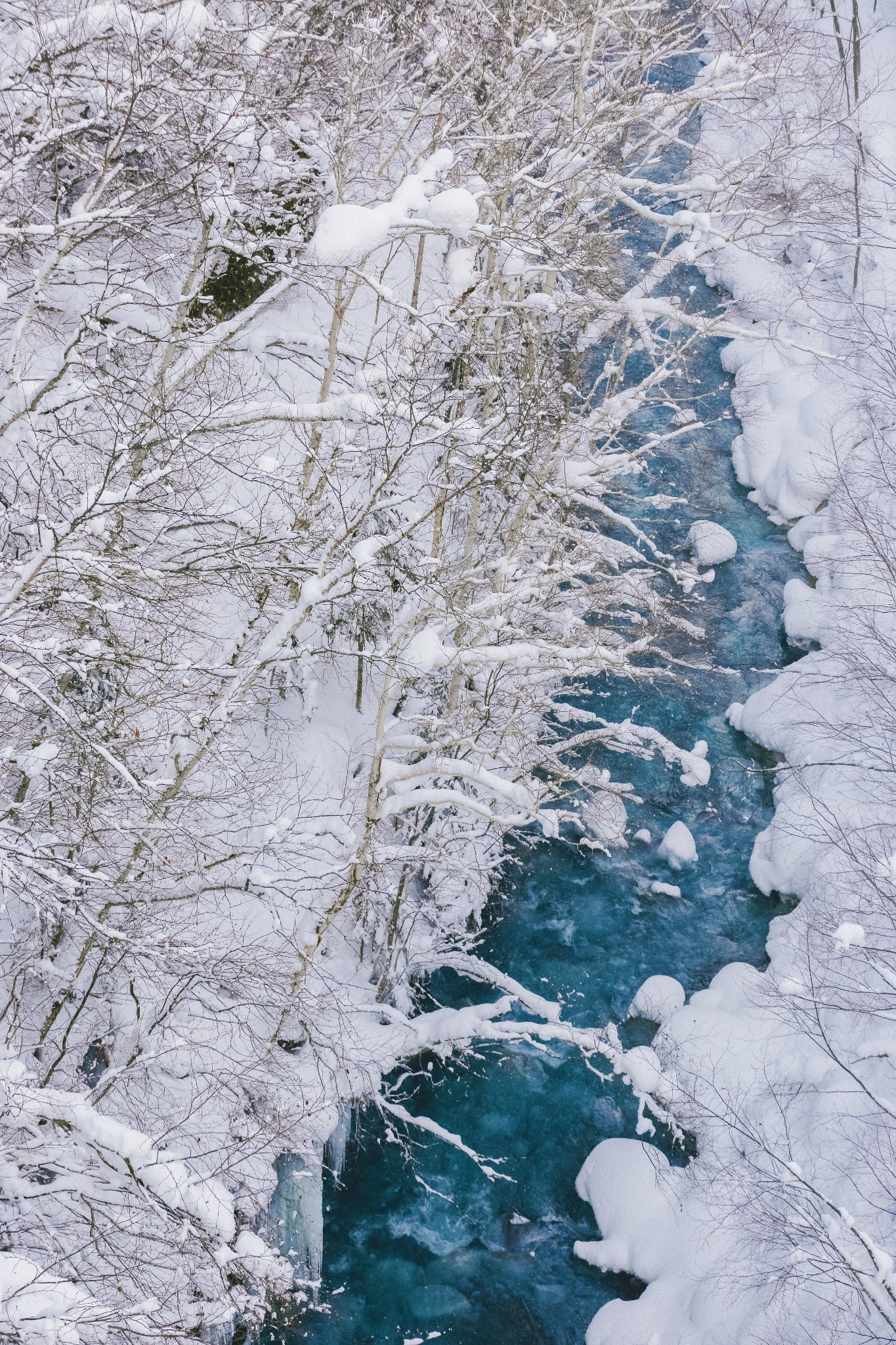 北海道自助遊攻略