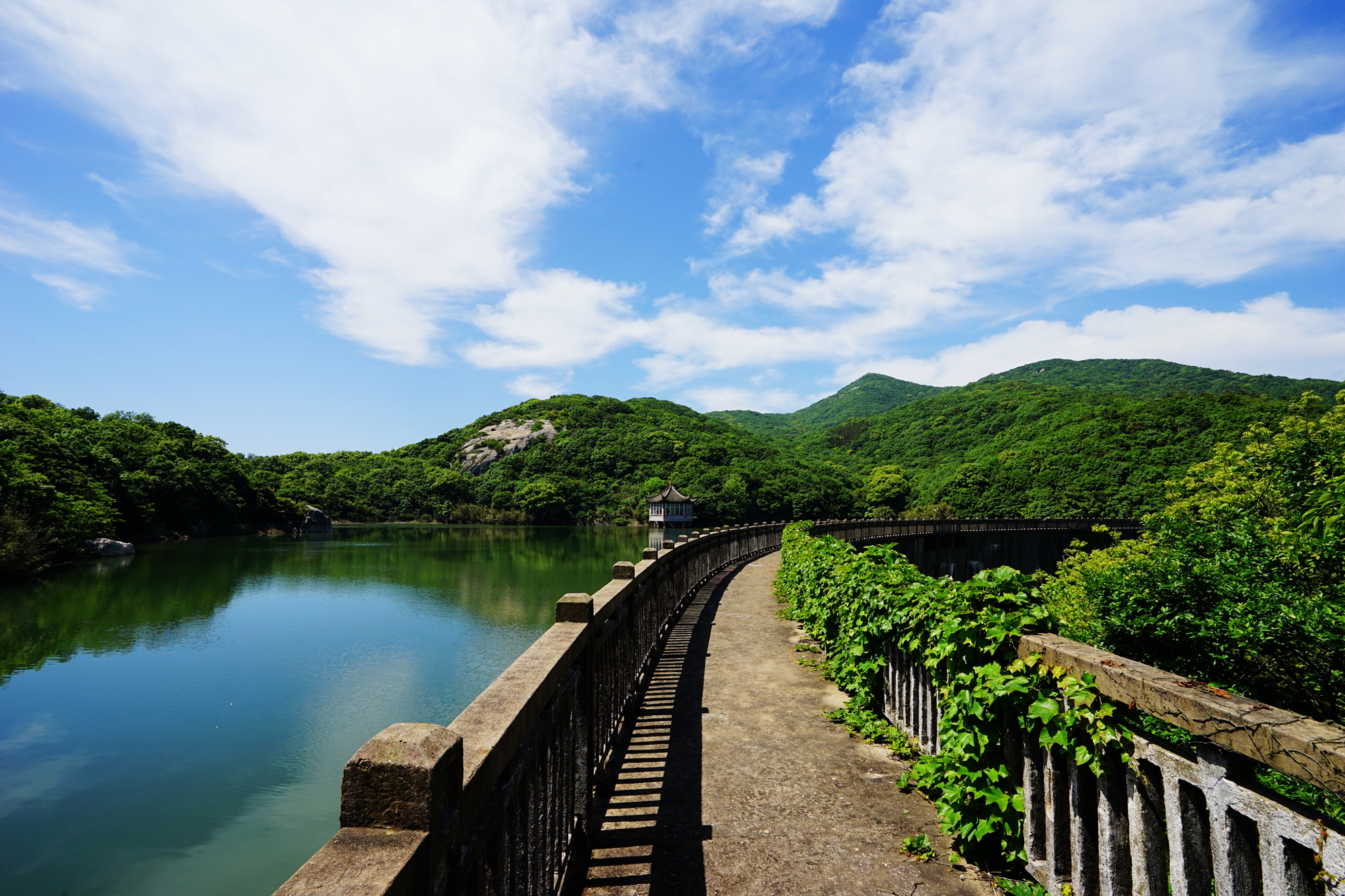 普陀山自助遊攻略