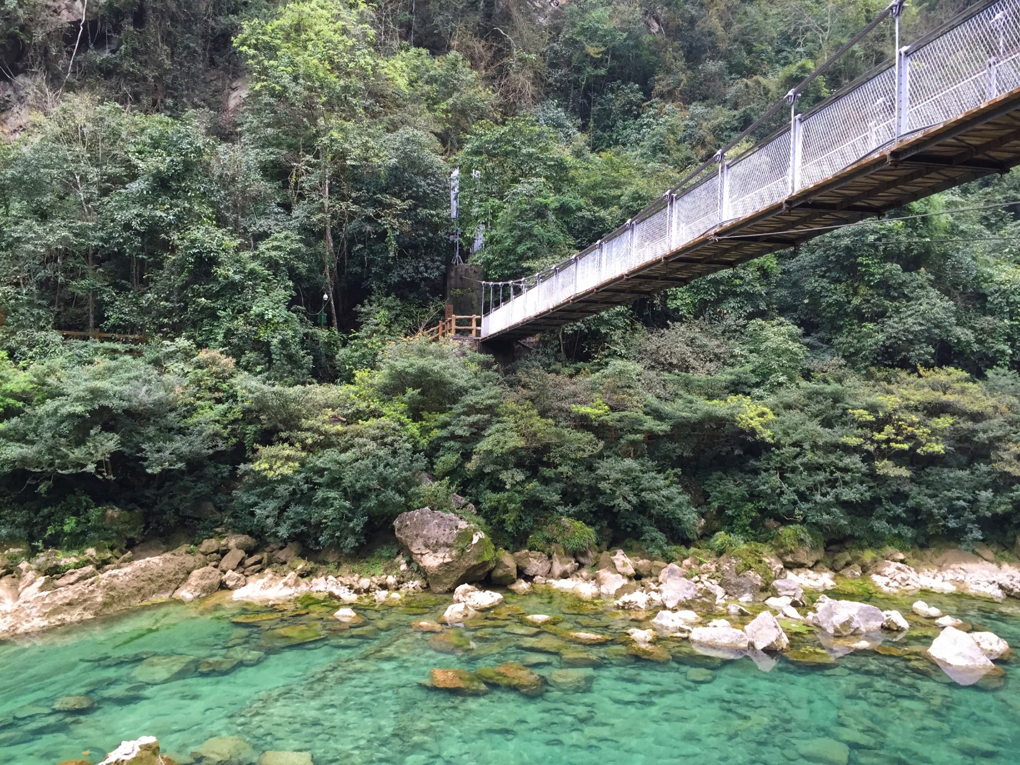 兴义都匀凯里gdp_都匀毛尖图片(2)