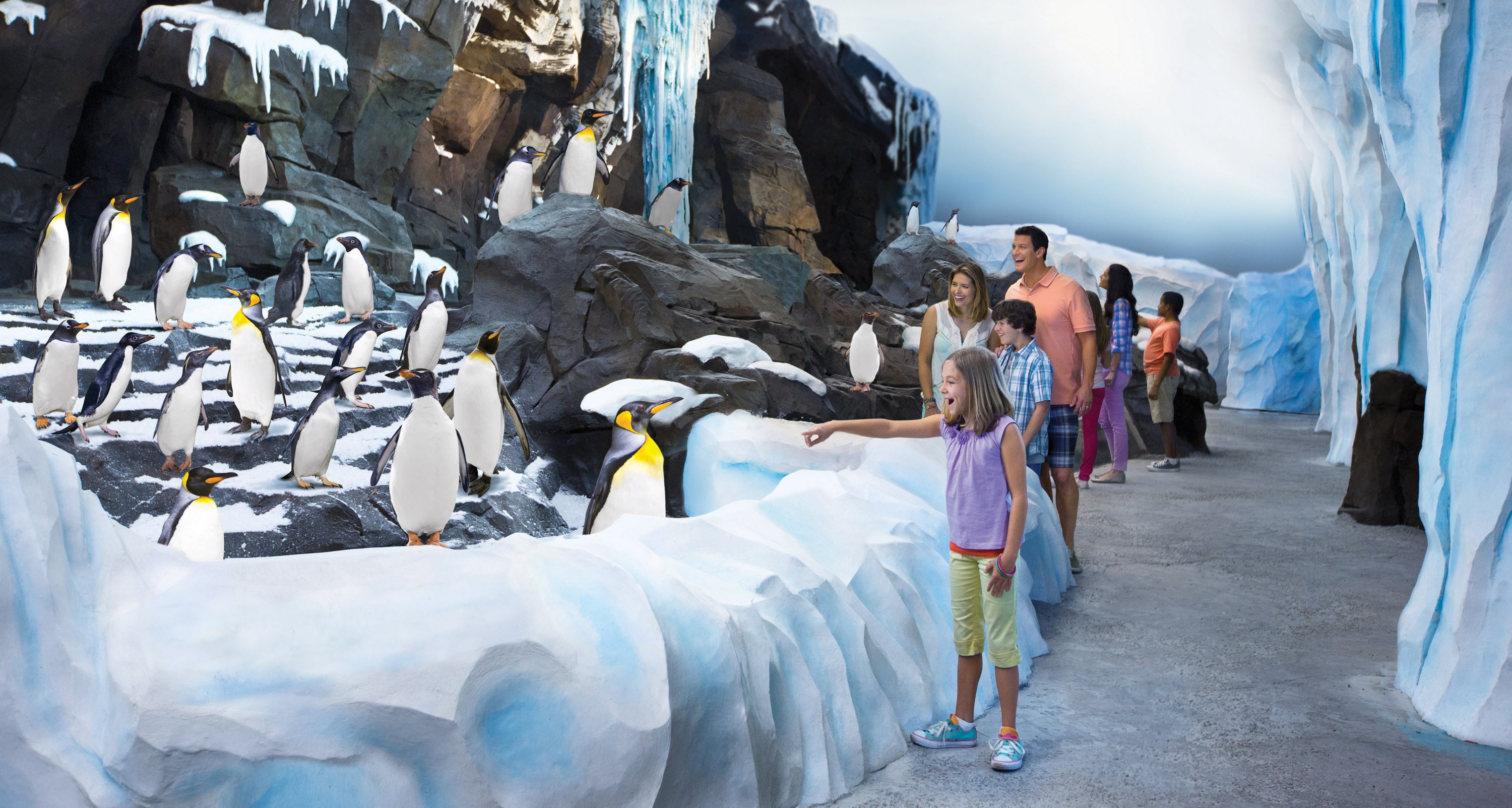 奥兰多海洋世界(seaworld orlando)