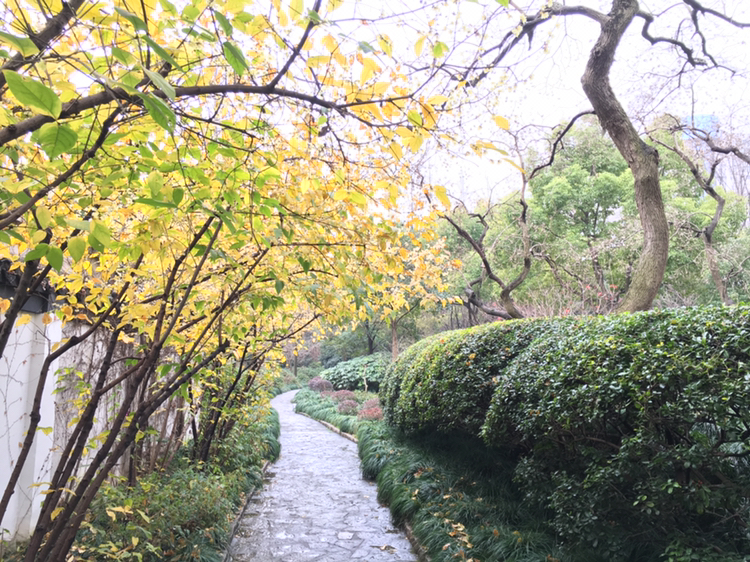 周边旅游(图8)