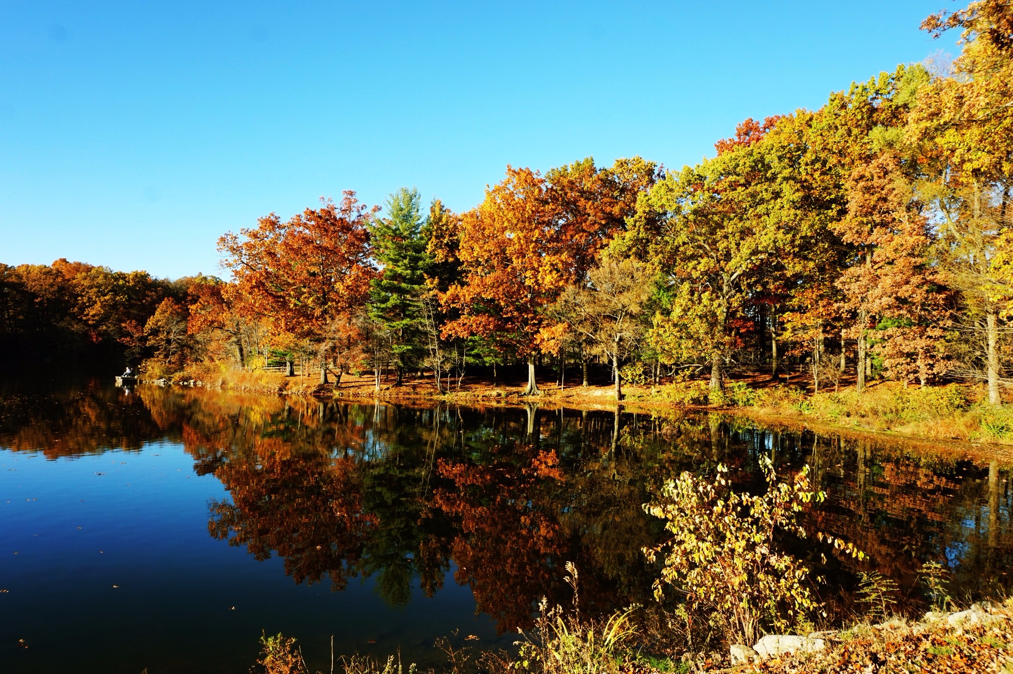 美国俄亥俄州goodyearpark之秋色