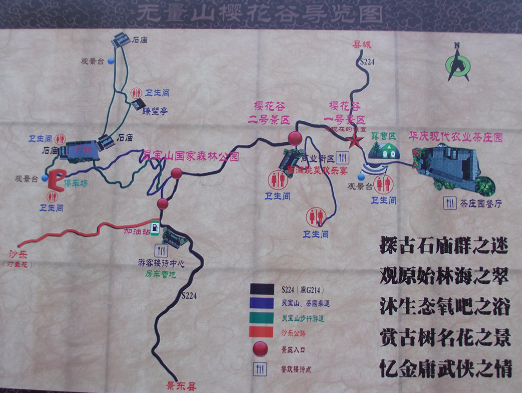 冬季大理无量山看樱花,段誉在这里遇到神仙姐姐