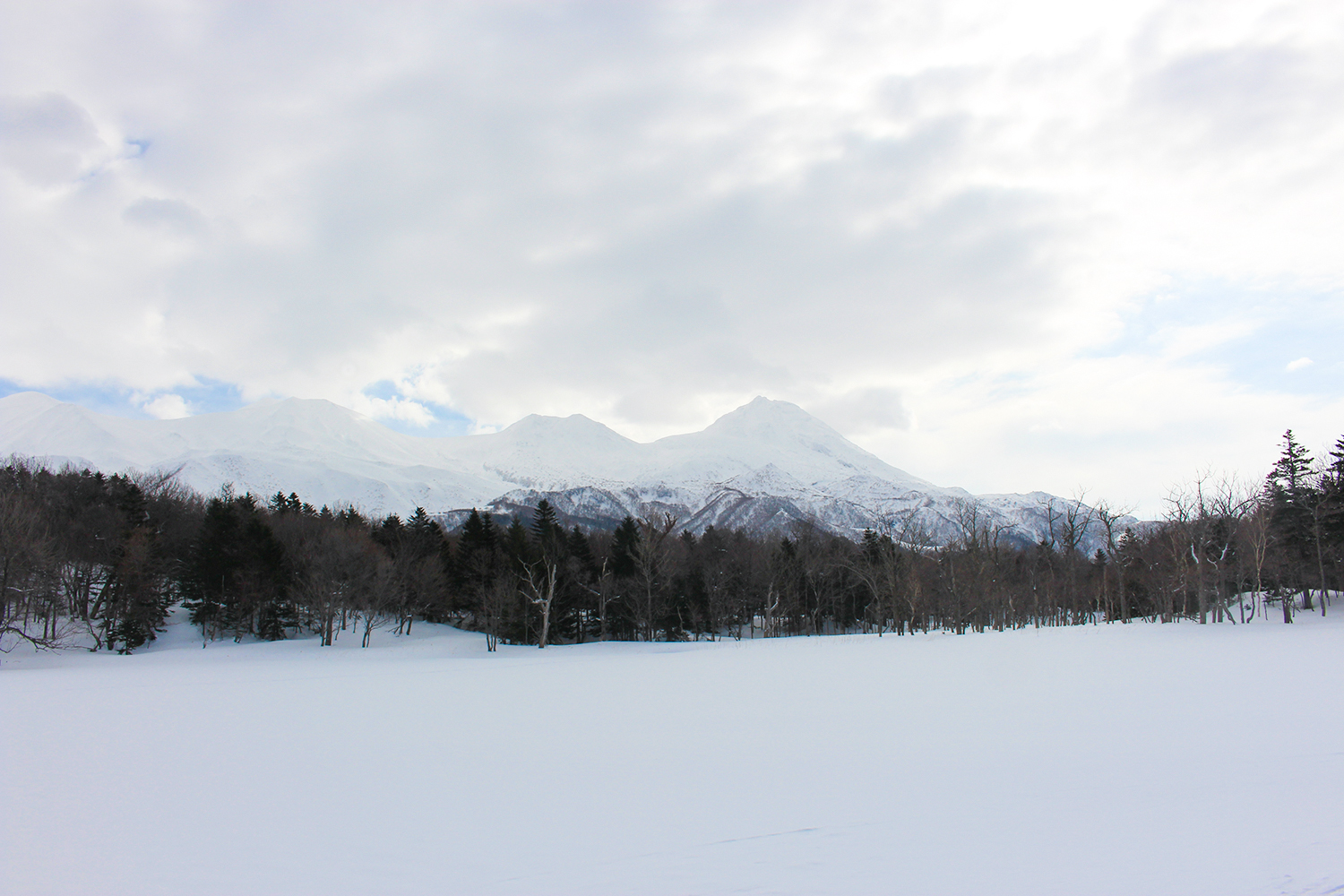 北海道自助遊攻略