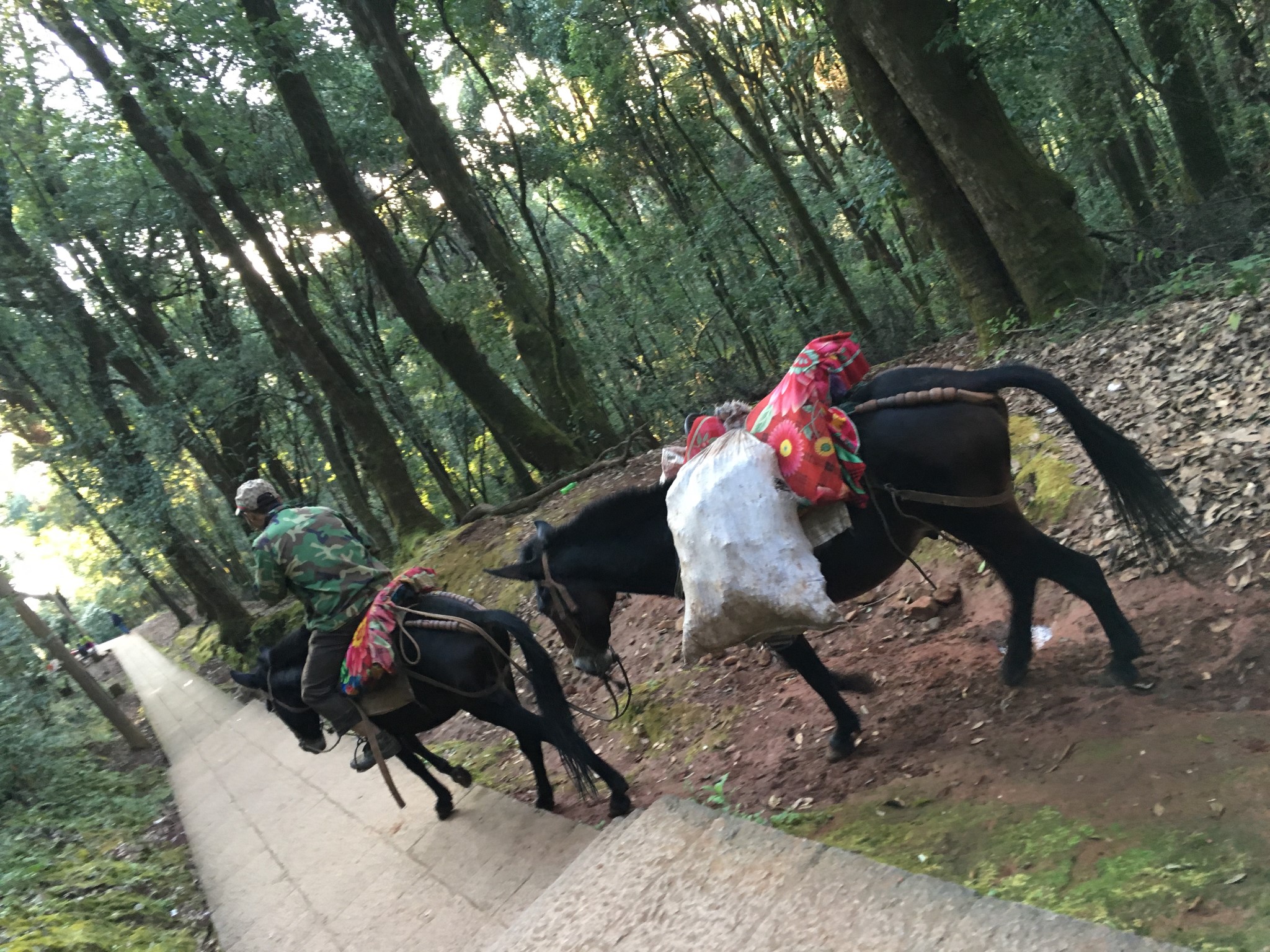 雙廊自助遊攻略